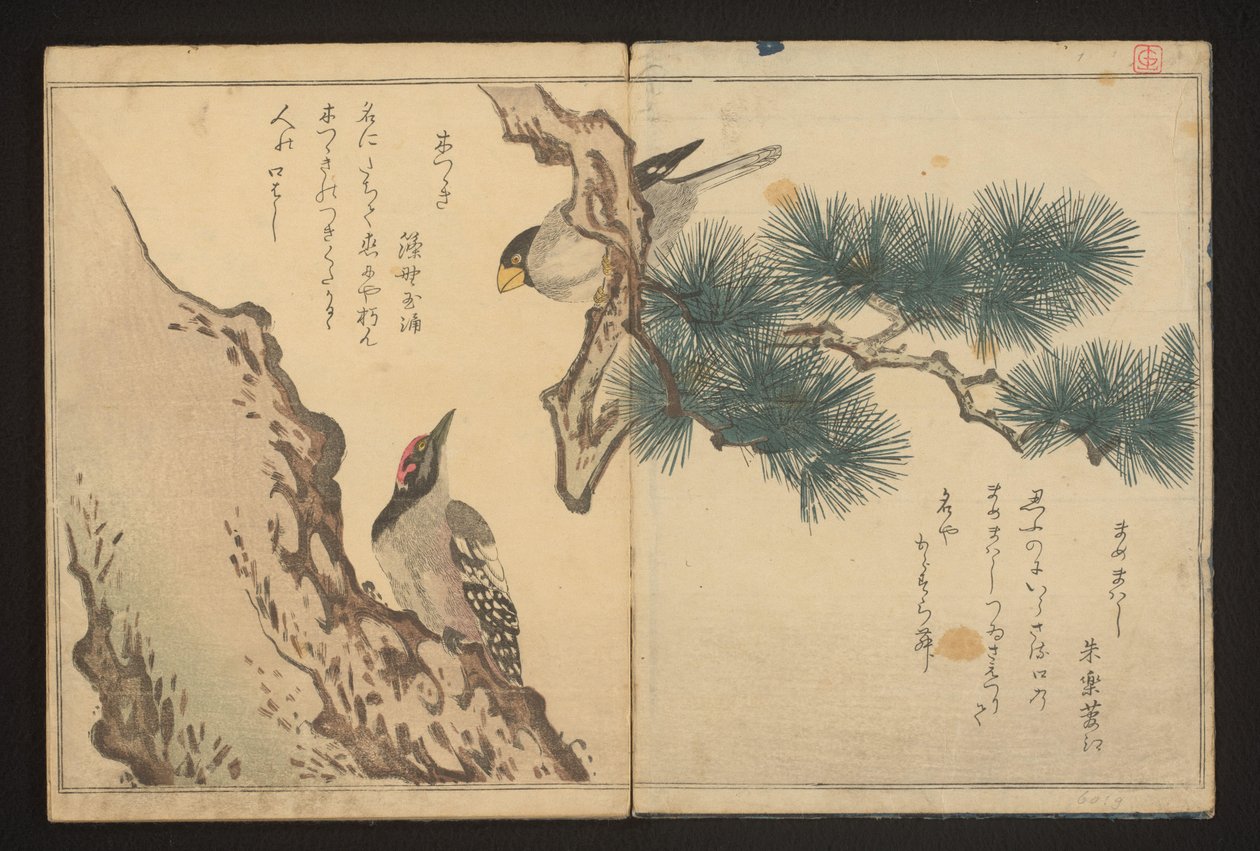 grubodziób i dzięcioł autorstwa Kitagawa Utamaro