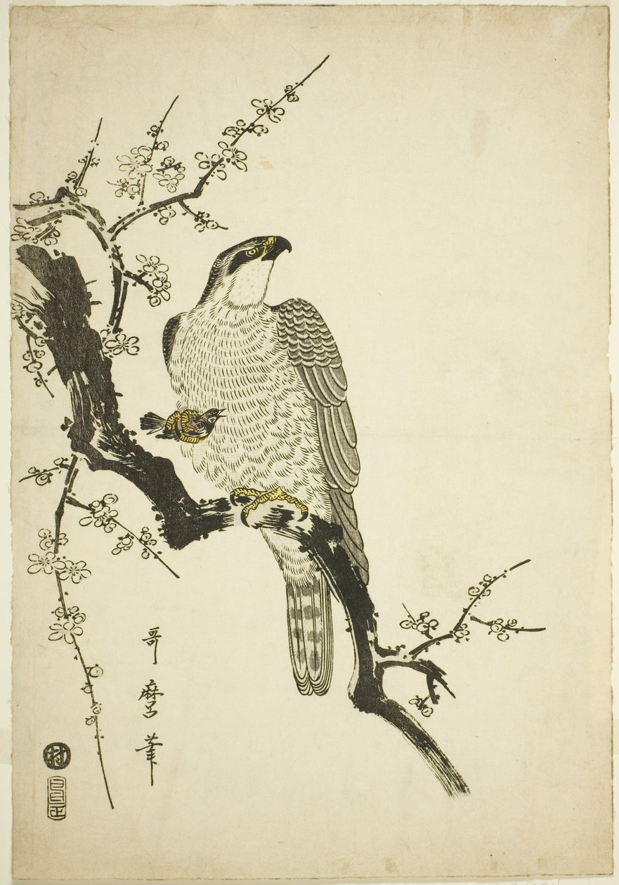 Jastrząb na śliwce autorstwa Kitagawa Utamaro