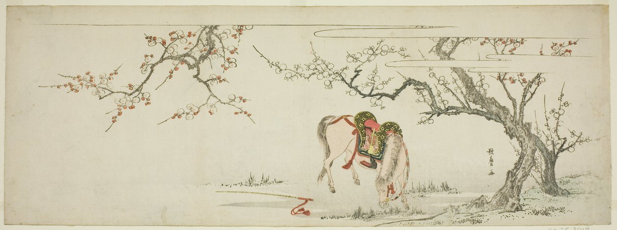 Koń pod kwitnącą śliwką autorstwa Kitagawa Utamaro
