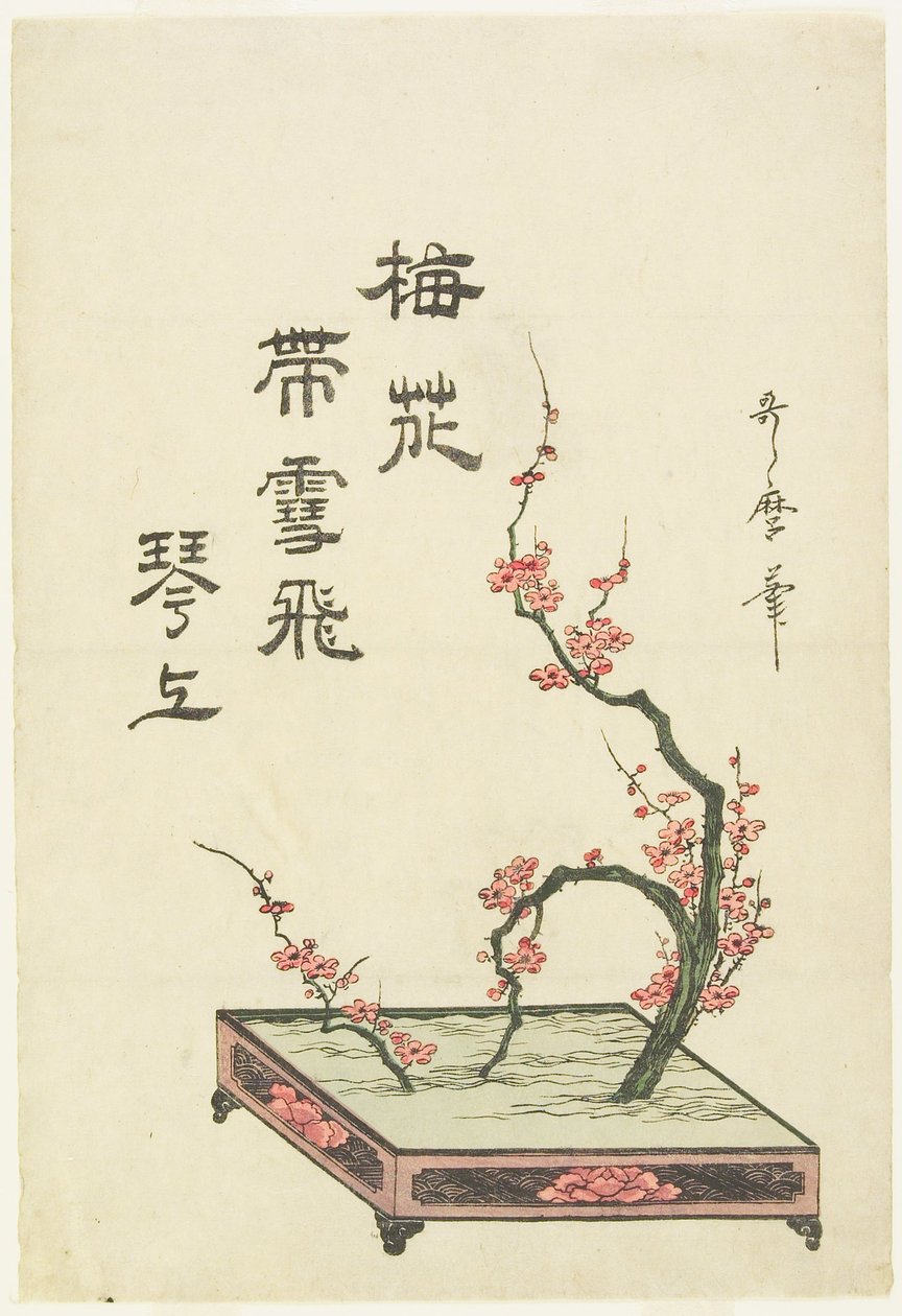 Kompozycja ikebana z gałęzi śliwy autorstwa Kitagawa Utamaro