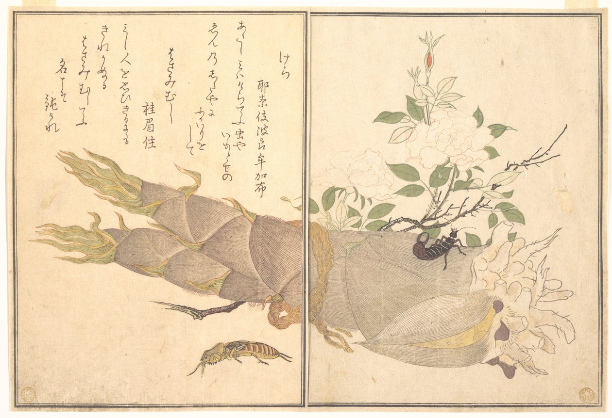 Skrzyp (Kera); skork (Hasami-mushi), z książki obrazkowej „Pełzające stworzenia” (Ehon mushi erami) autorstwa Kitagawa Utamaro