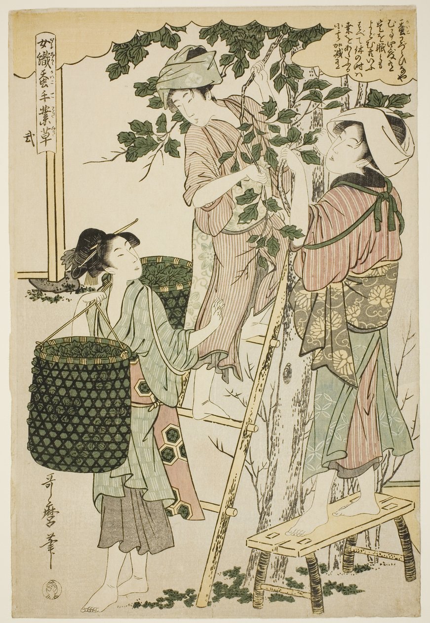 nr 2 (ni), z serii „Kobiety zajmujące się serownictwem (Joshoku kaiko tewaza-gusa)” autorstwa Kitagawa Utamaro