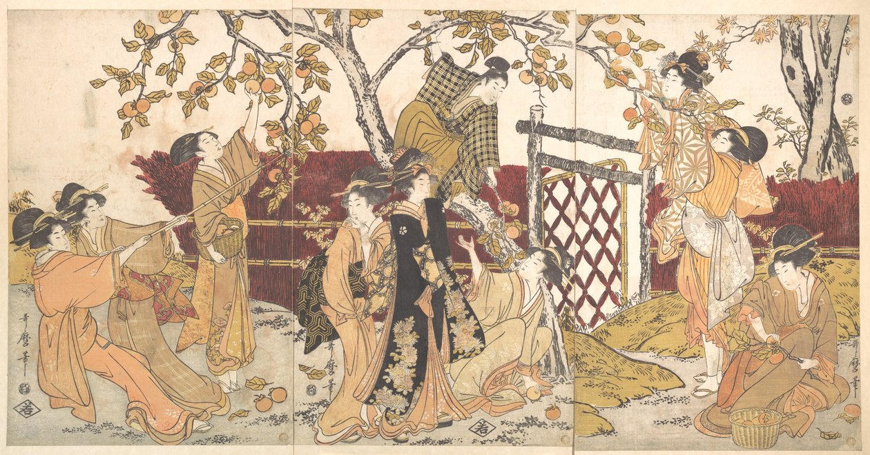 Zbieranie kaki autorstwa Kitagawa Utamaro