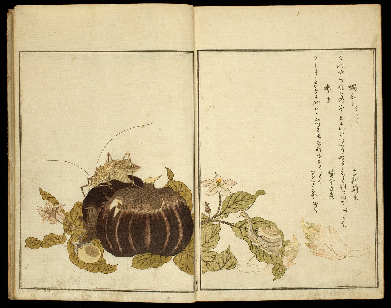 Książka obrazkowa: Wybrane owady (Ehon mushi erabi) autorstwa Kitagawa Utamaro