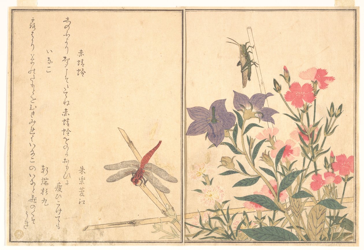 Czerwona ważka (Akatonbo); szarańcza (Inago), z książki obrazkowej „Pełzające stworzenia” (Ehon mushi erami) autorstwa Kitagawa Utamaro
