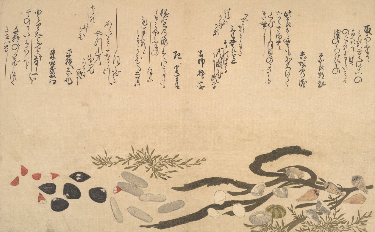 Muszle pod wodą, 1790. autorstwa Kitagawa Utamaro