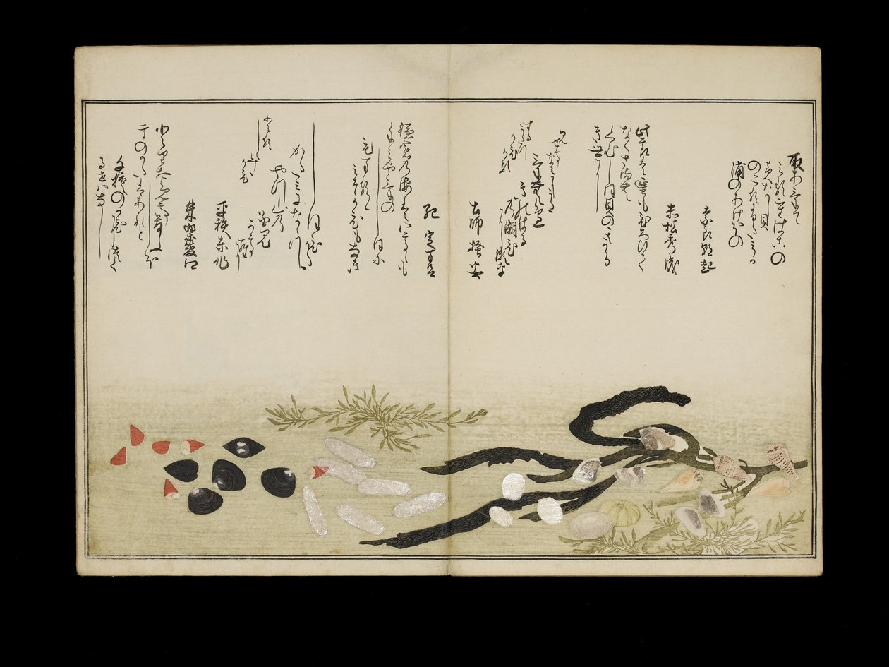 Shiohi no tsuto (Dary z odpływu), znany jako Księga Muszli, 1789 (kolorowy drzeworyt) autorstwa Kitagawa Utamaro