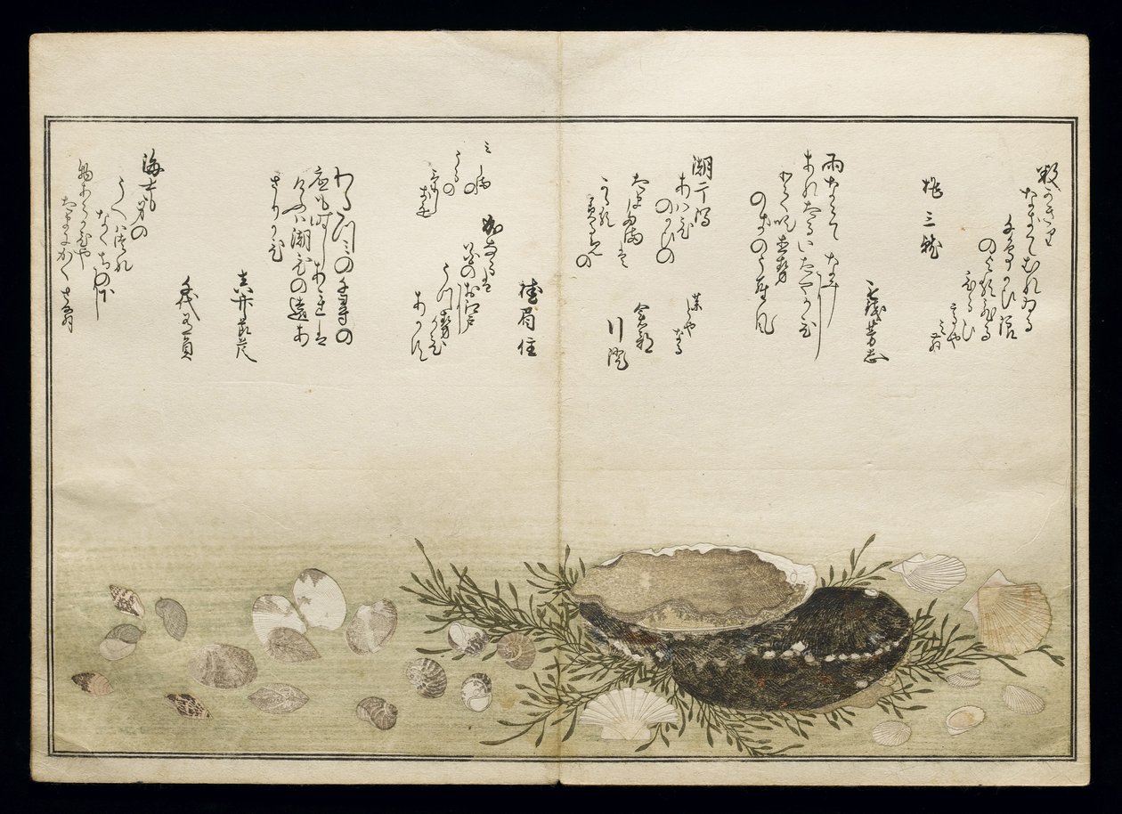 Shiohi no tsuto (Dary z odpływu), znany jako Księga Muszli, 1789 (kolorowy drzeworyt) autorstwa Kitagawa Utamaro