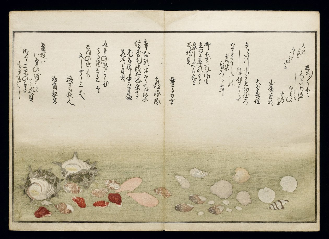 Shiohi no tsuto (Dary z odpływu), znany jako Księga Muszli, 1789 (kolorowy drzeworyt) autorstwa Kitagawa Utamaro