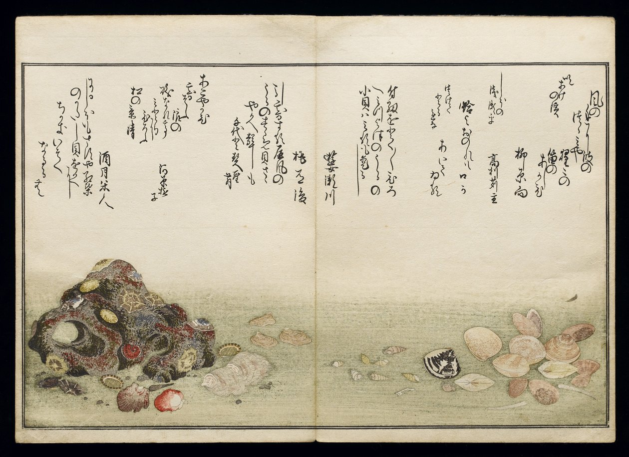 Shiohi no tsuto (Dary z odpływu), znany jako Księga Muszli, 1789 (kolorowy drzeworyt) autorstwa Kitagawa Utamaro