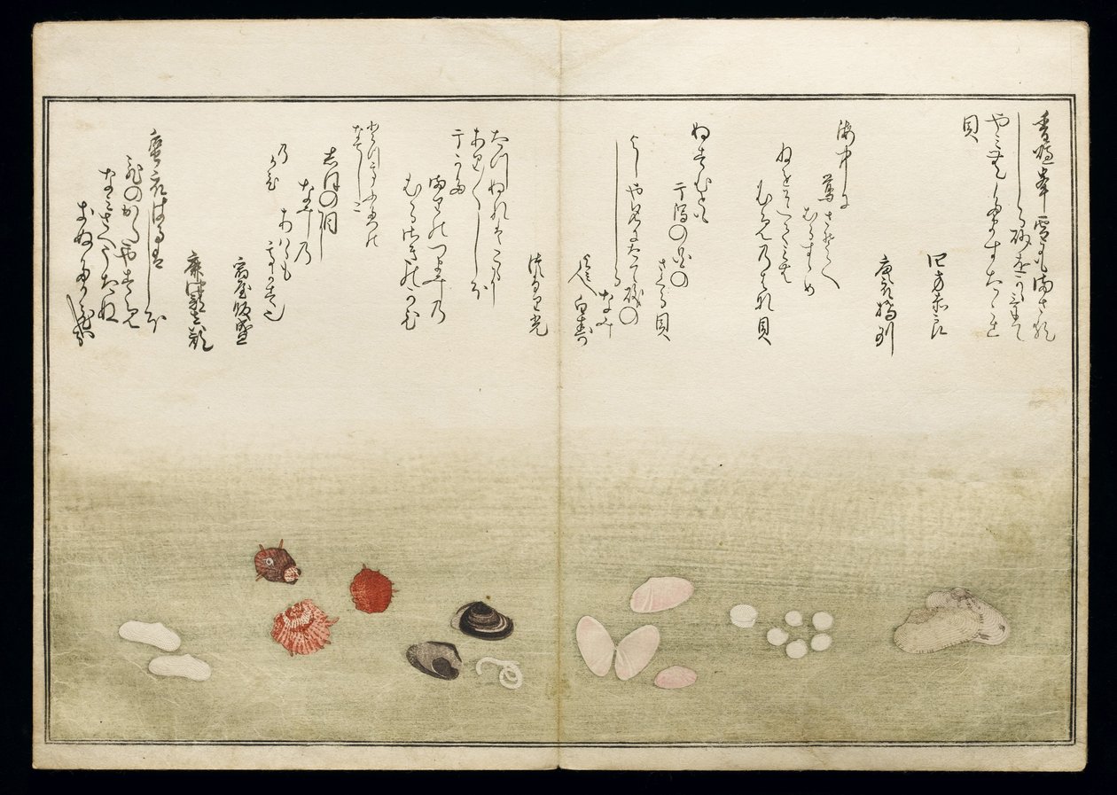 Shiohi no tsuto (Dary z odpływu), znany jako Księga Muszli, 1789 (kolorowy drzeworyt) autorstwa Kitagawa Utamaro