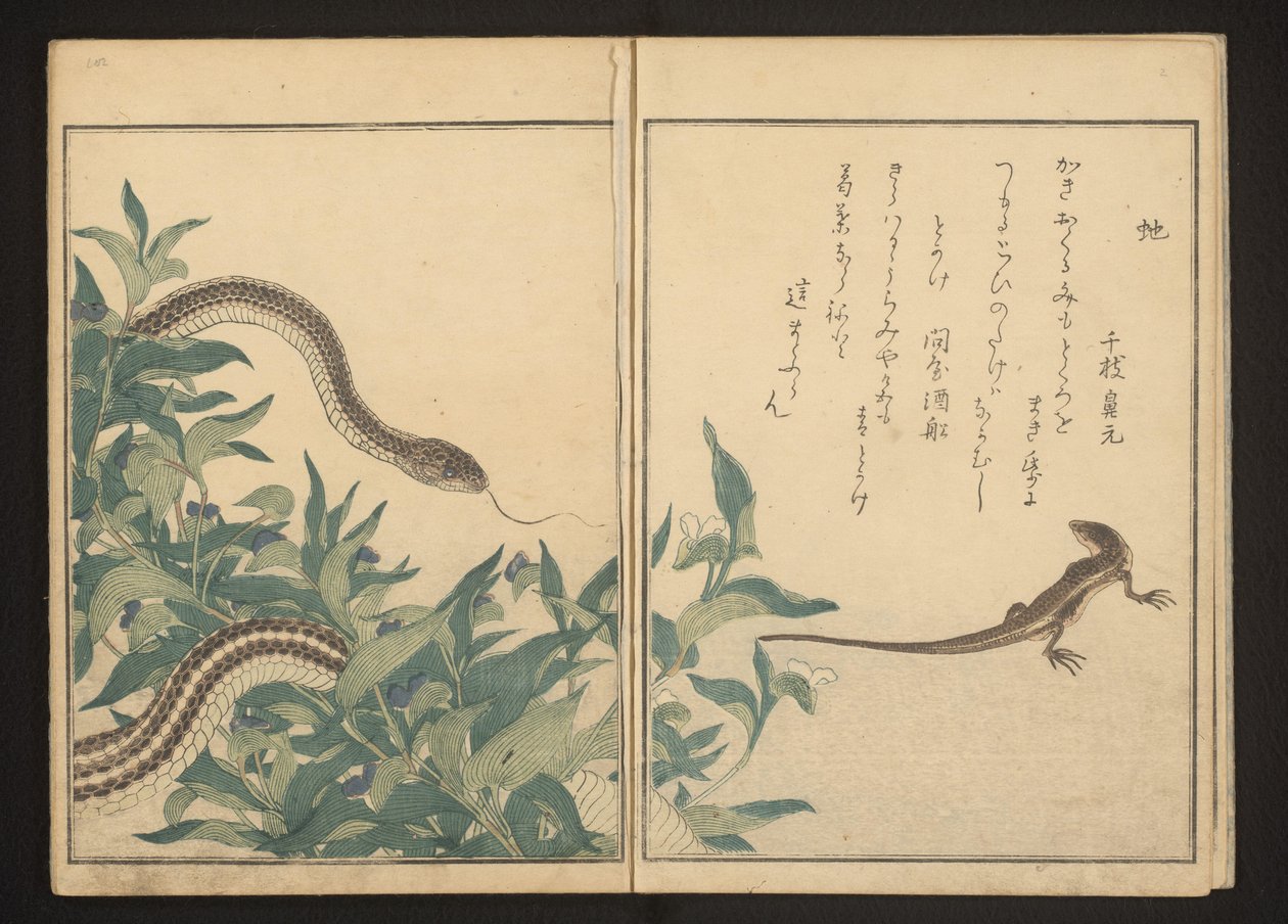 Wąż i jaszczurka przy krzaku autorstwa Kitagawa Utamaro