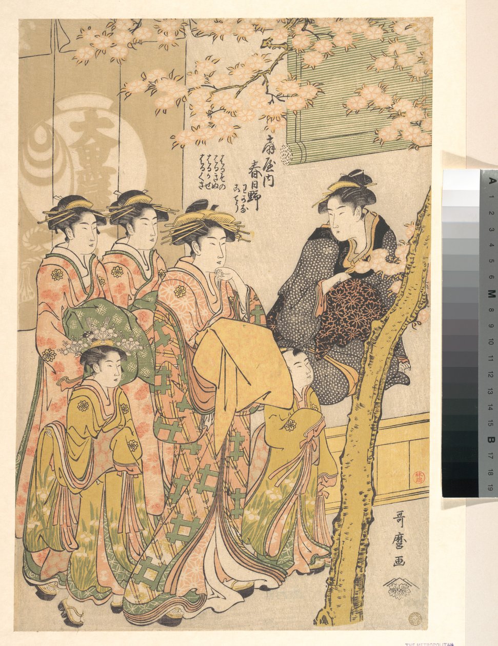Oiran Kasugano z Ogiya na paradzie pod kwitnącymi drzewami wiśniowymi autorstwa Kitagawa Utamaro
