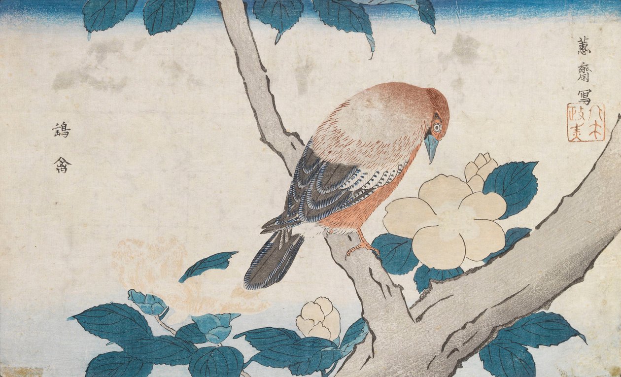 Nieuprawny autorstwa Kitao Masayoshi