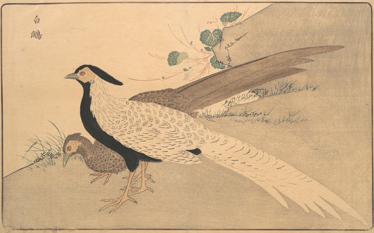 b Ae Hyun, 1789. autorstwa Kitao Masayoshi