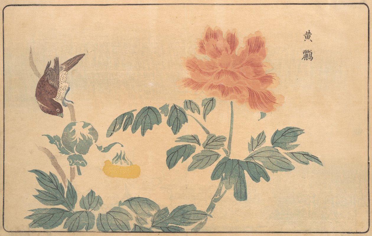 Chińska Wilga i Piwonie, 1789. autorstwa Kitao Masayoshi