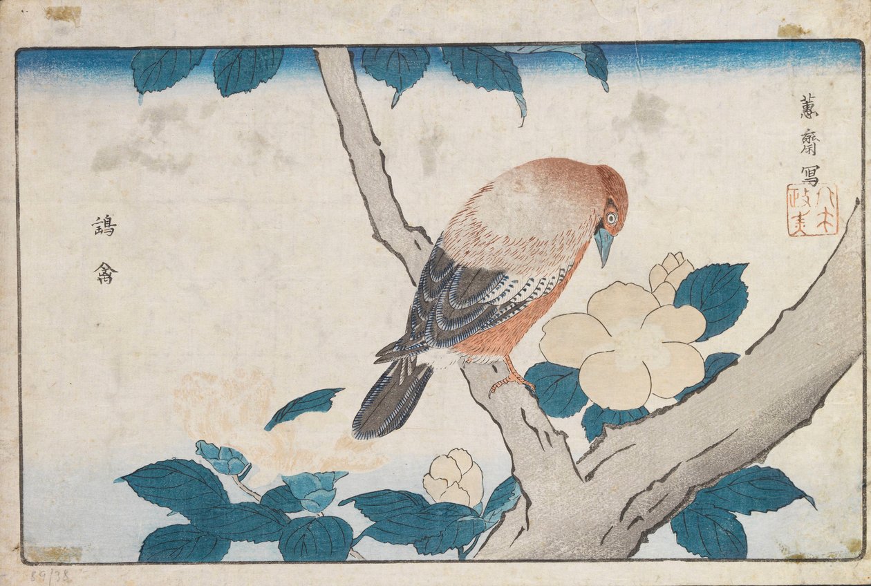 Bez tytułu autorstwa Kitao Masayoshi