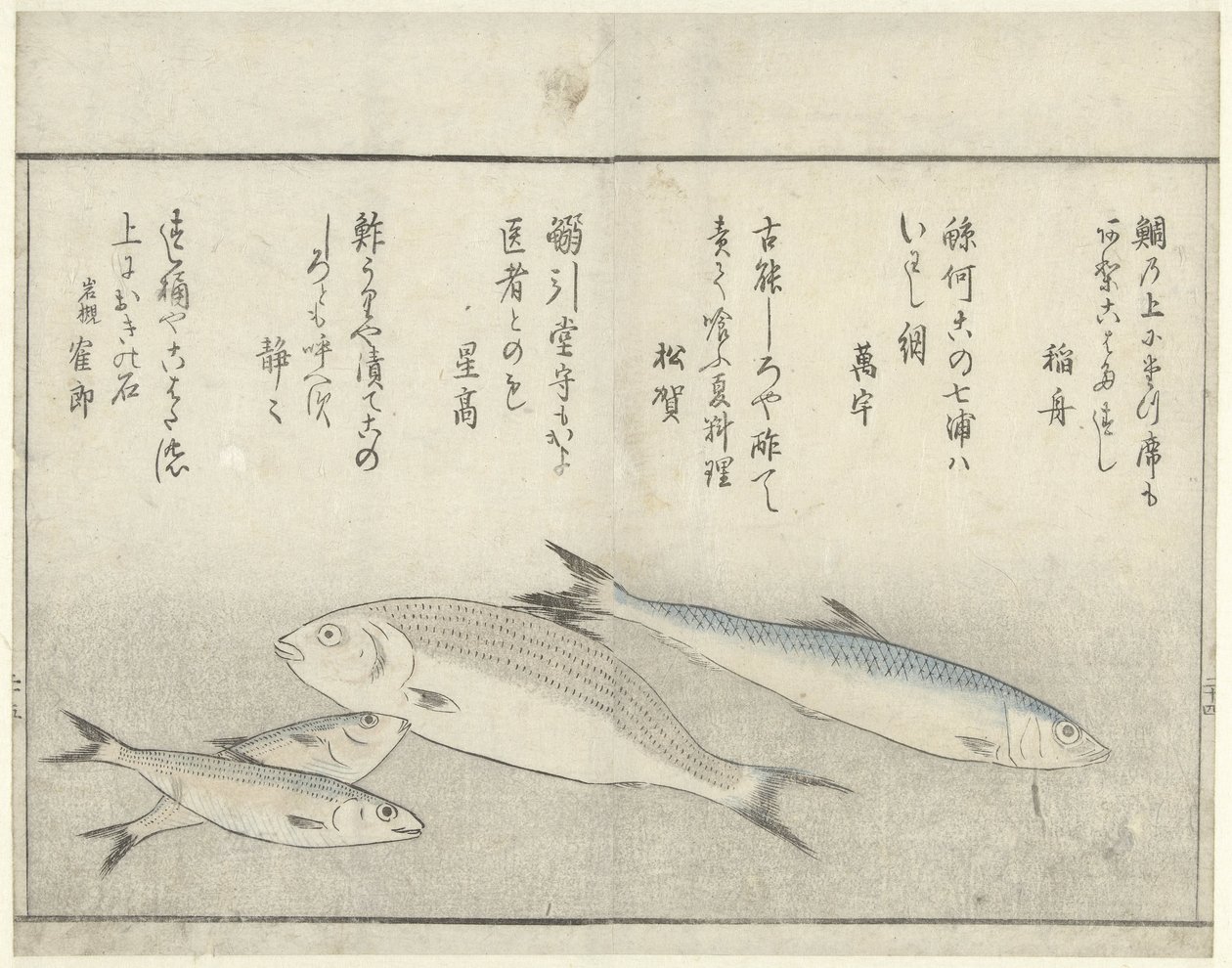 Cztery ryby autorstwa Kitao Masayoshi