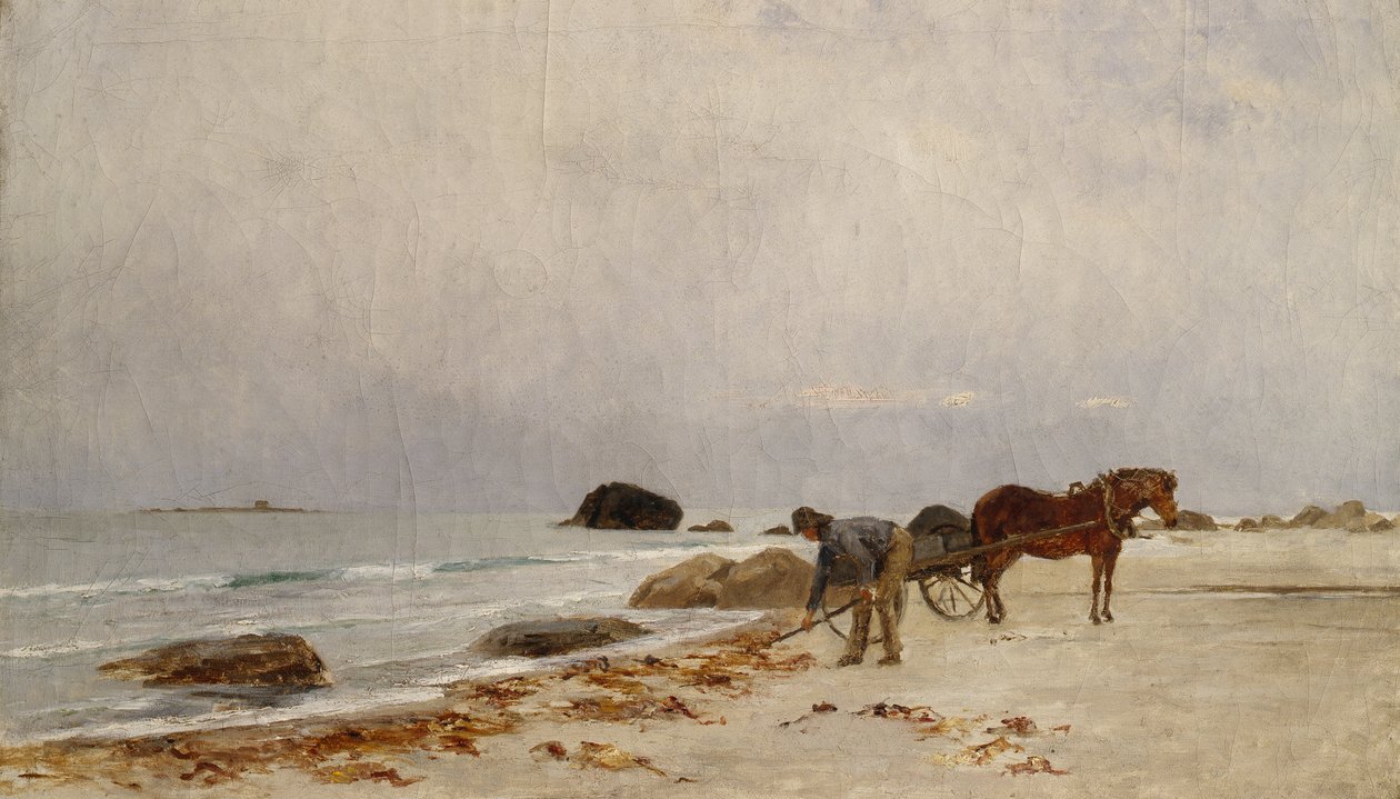 Zapędzanie wodorostów (malarstwo) autorstwa Kitty Lange Kielland