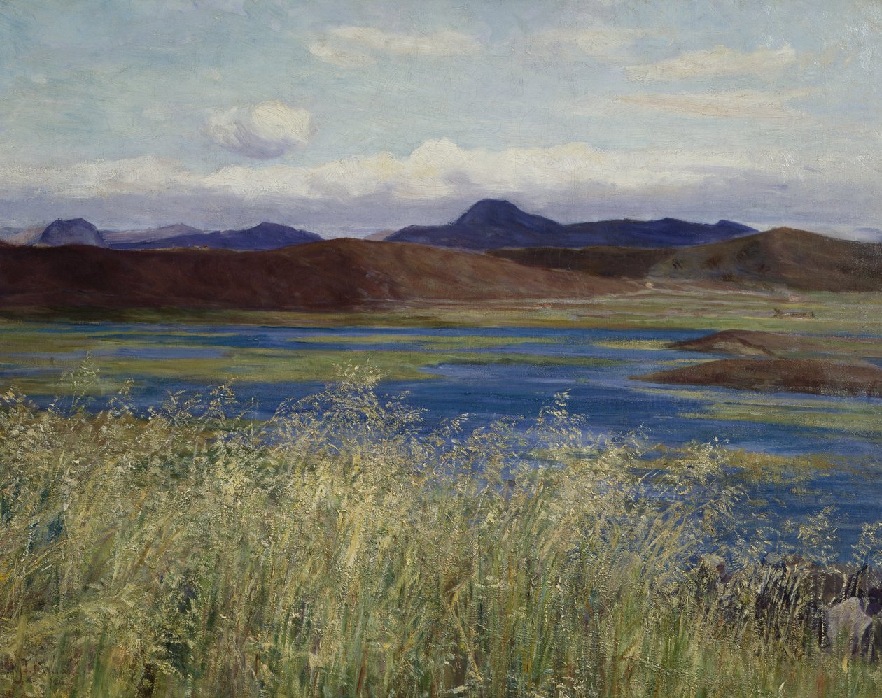 Pejzaż Jær (Pejzaż z Jæren) (olej na płótnie) autorstwa Kitty Lange Kielland