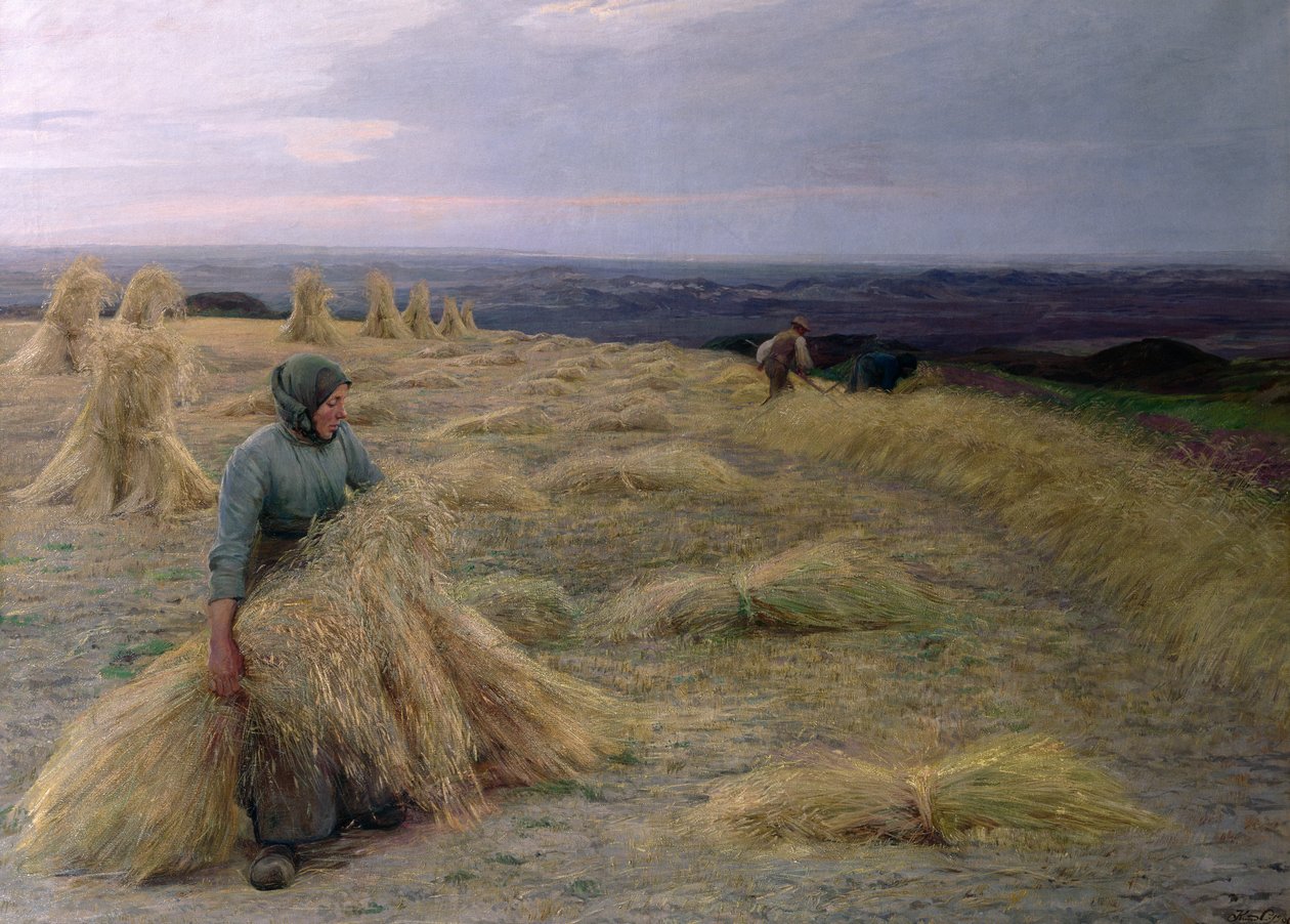 Żniwiarze, Svinklov-Viildemosen, Jutlandia autorstwa Knud Larsen