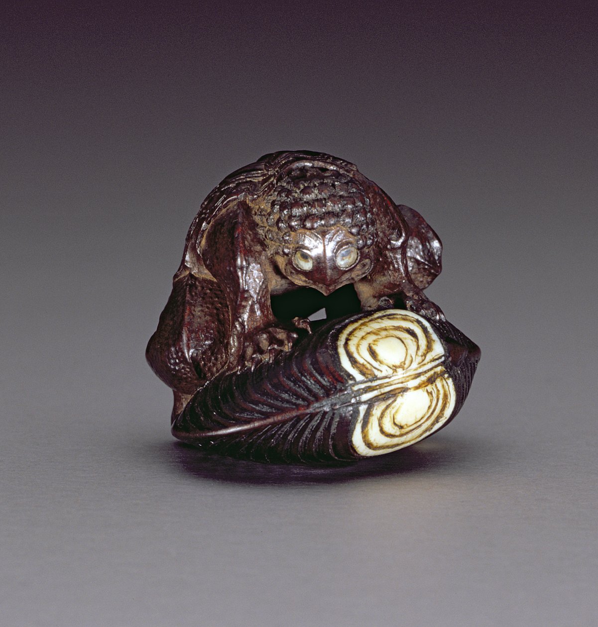 Netsuke przedstawiający kappa przykucniętego na muszli małża, 1860-80 (drewno) autorstwa Komin