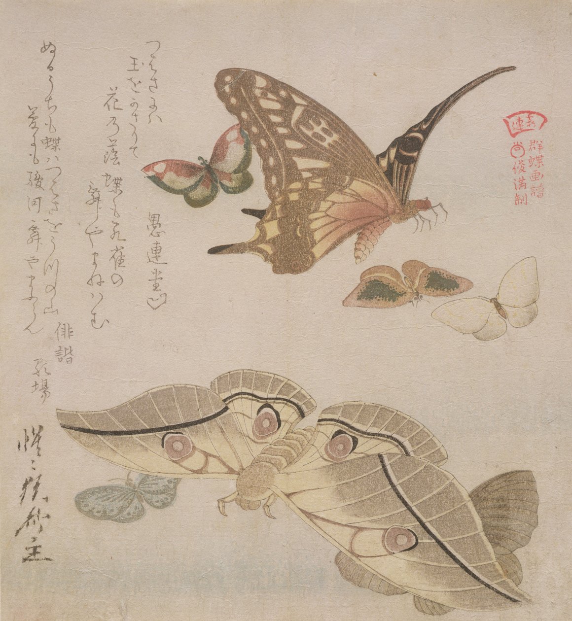 „Tsubasa ni wa...” (pierwszy wiersz wiersza) z cyklu „Ilustrowana kolekcja motyli”, ok. 1804-18 (drewnodruk) autorstwa Kubo Shumman