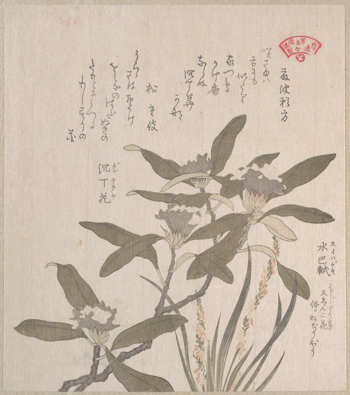 Daphne odora i Mojisuri-so autorstwa Kubo Shunman