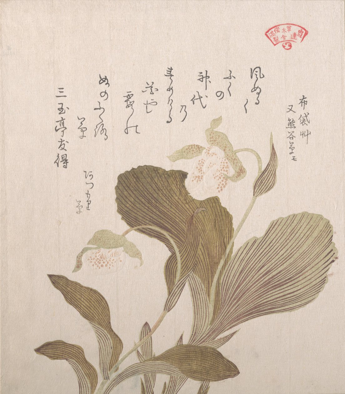 Kwiaty Hotei, XIX wiek. autorstwa Kubo Shunman