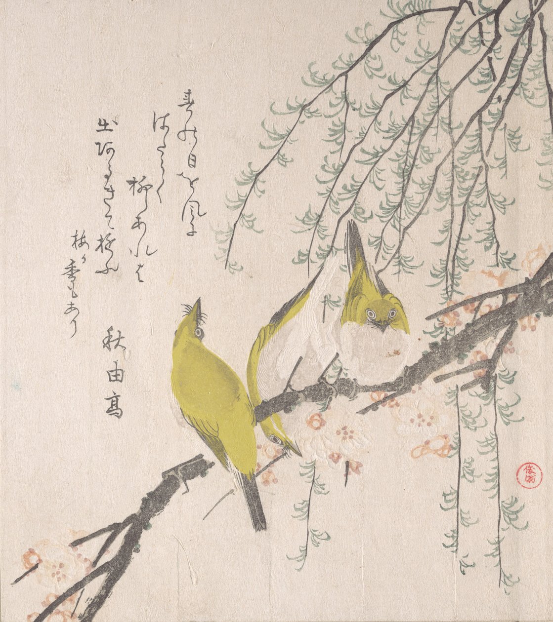 Japońskie białooki ze śliwką i wierzbą..., ca. 1810. autorstwa Kubo Shunman