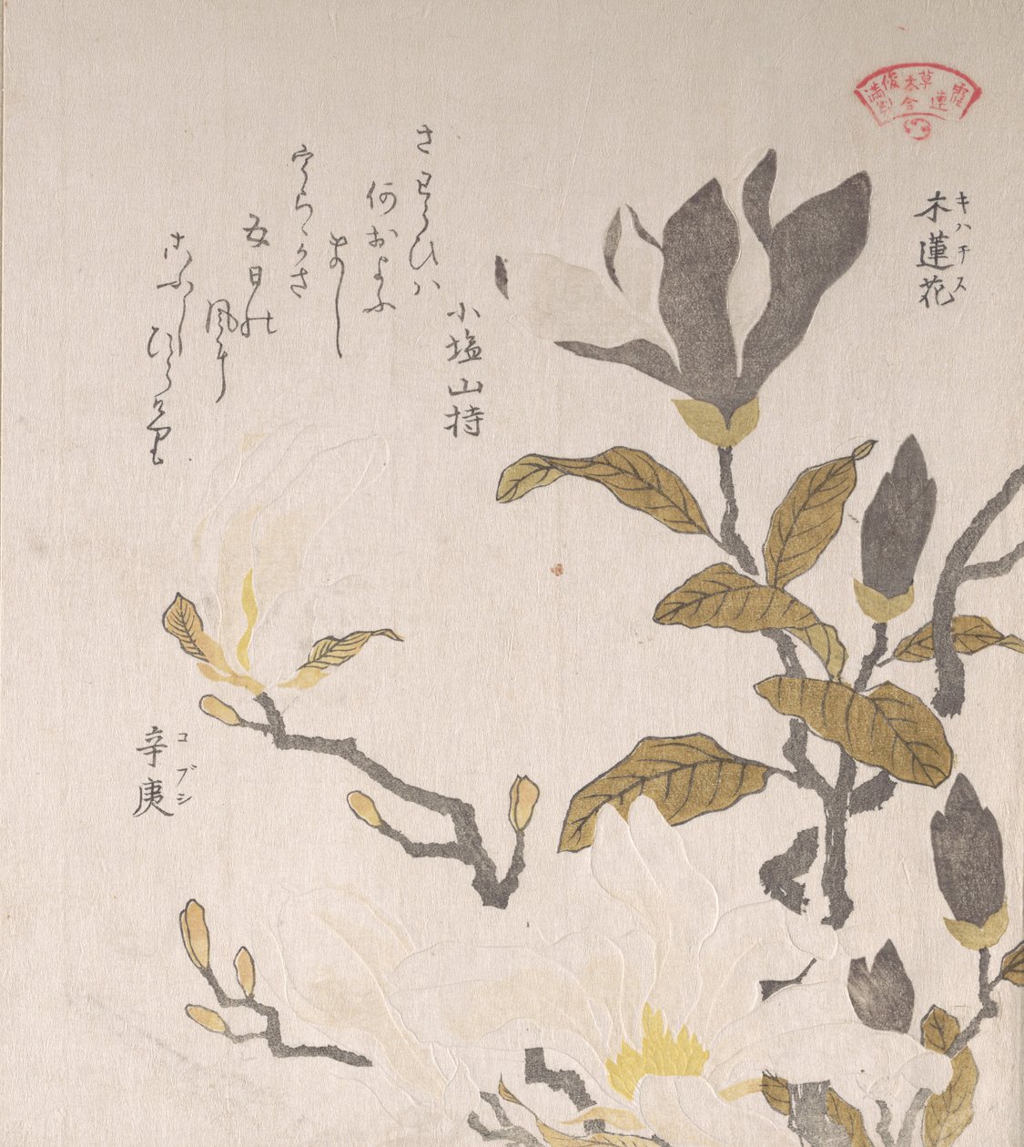 Kwiaty magnolii, XIX wiek. autorstwa Kubo Shunman