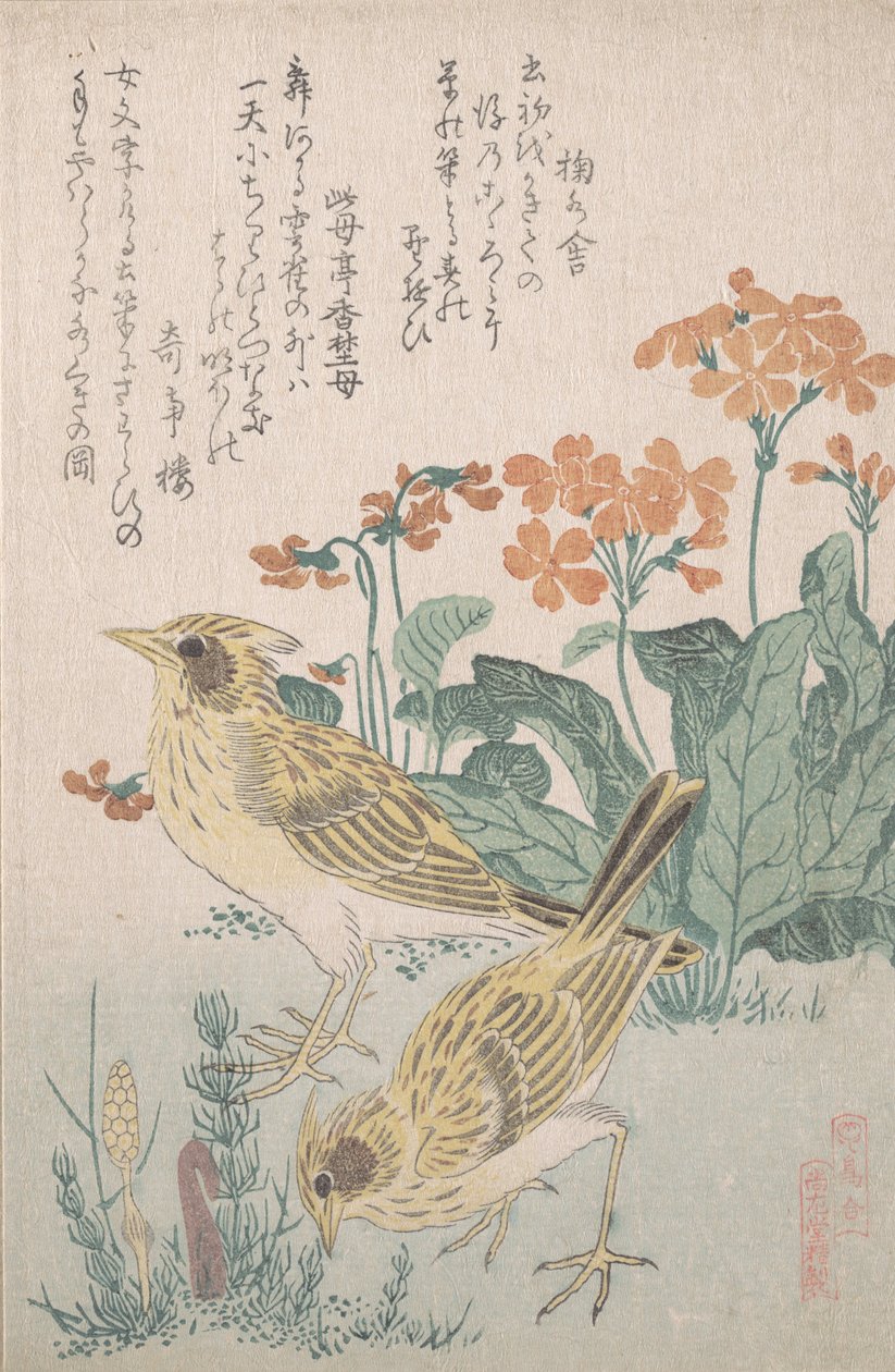 Skowronki i pierwiosnki..., ca. 1805-10. autorstwa Kubo Shunman