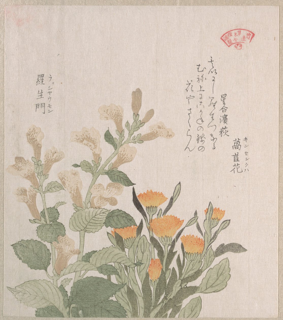 Nagietek pospolity i kwiaty Rajoman autorstwa Kubo Shunman