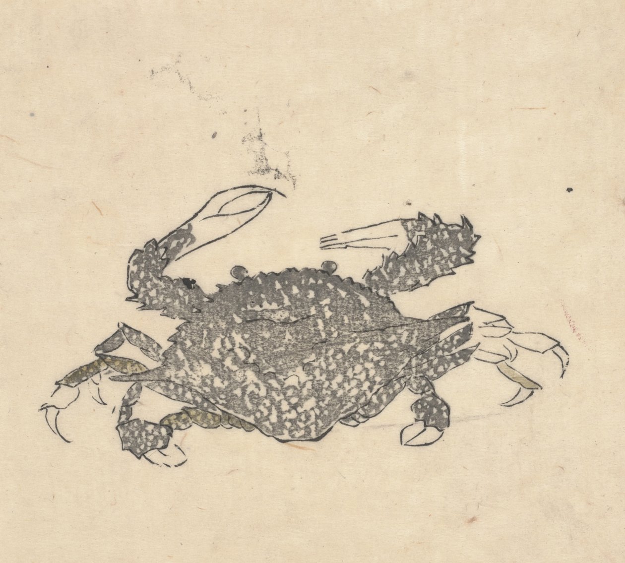 Krab (drzeworyt) autorstwa Kuwagata Keisai