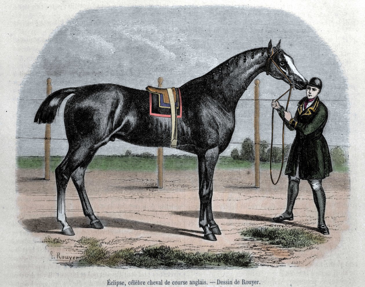 Angielski koń wyścigowy Eclipse. Ilustracja autorstwa Rouyera. autorstwa L. (after) Rouyer