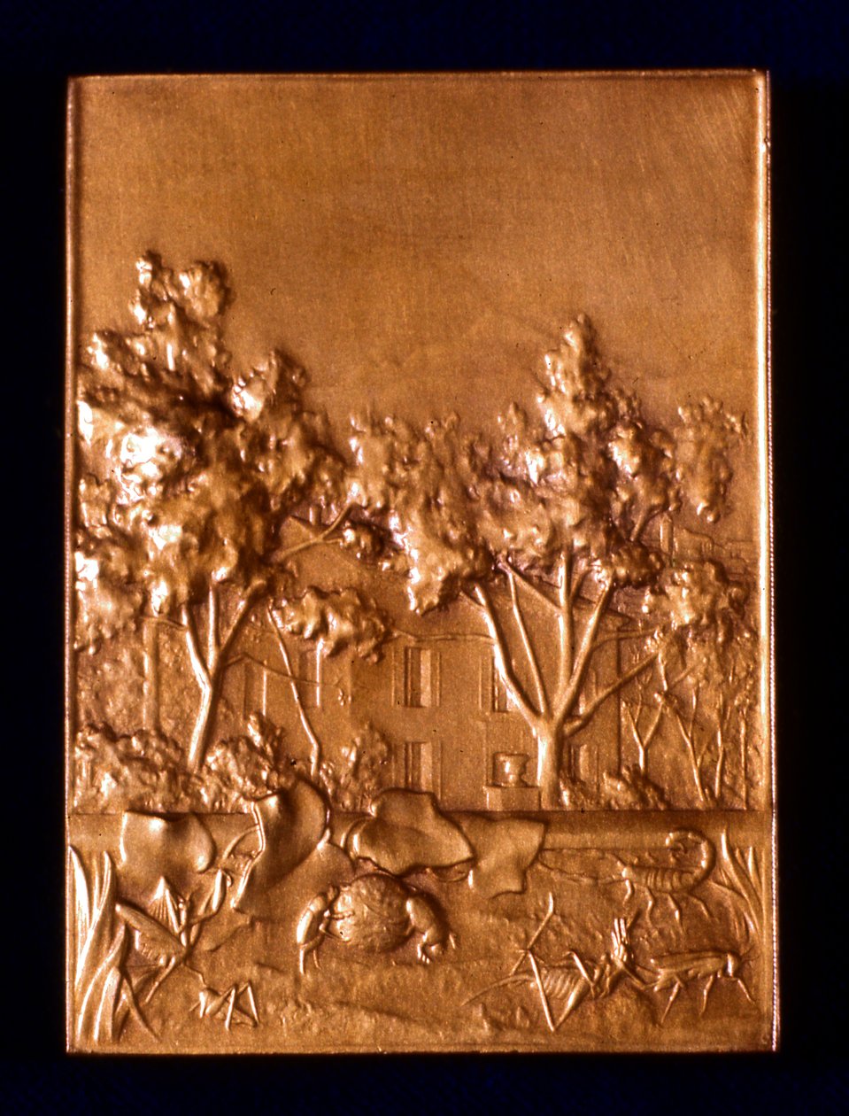 Owady, 1911 autorstwa L. Patriarche