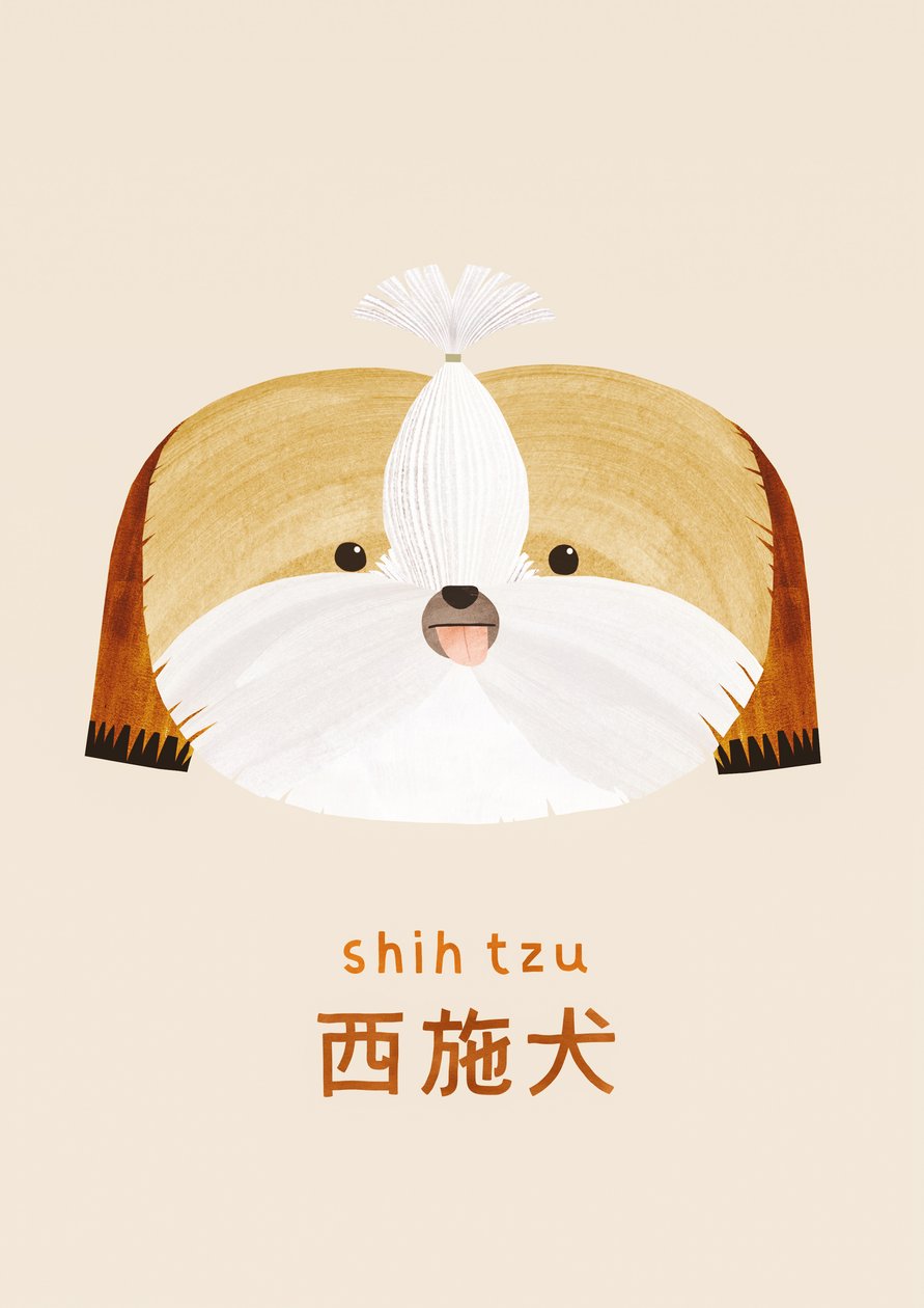 Shih tzu, 2019 autorstwa Léa Le Pivert