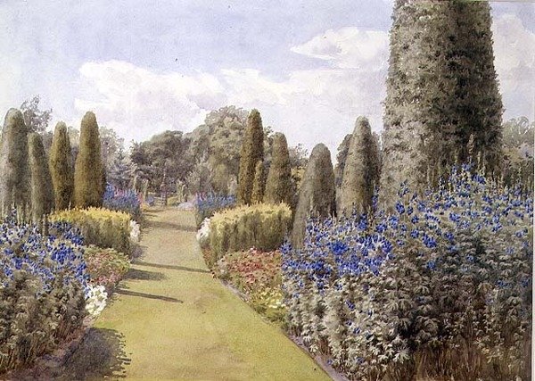 The Herbaceous Border (akwarela na papierze) autorstwa Lady Alice Willoughby