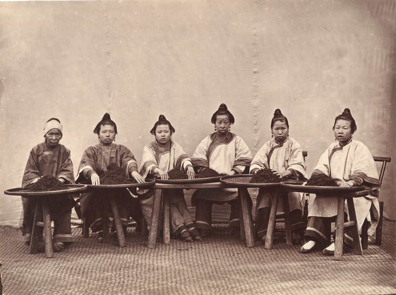 Herbata ubojowa, ca. 1869. autorstwa Lai Fong.