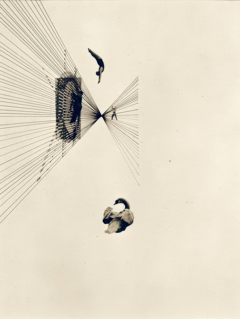 Leda i łabędź autorstwa Laszlo Moholy Nagy