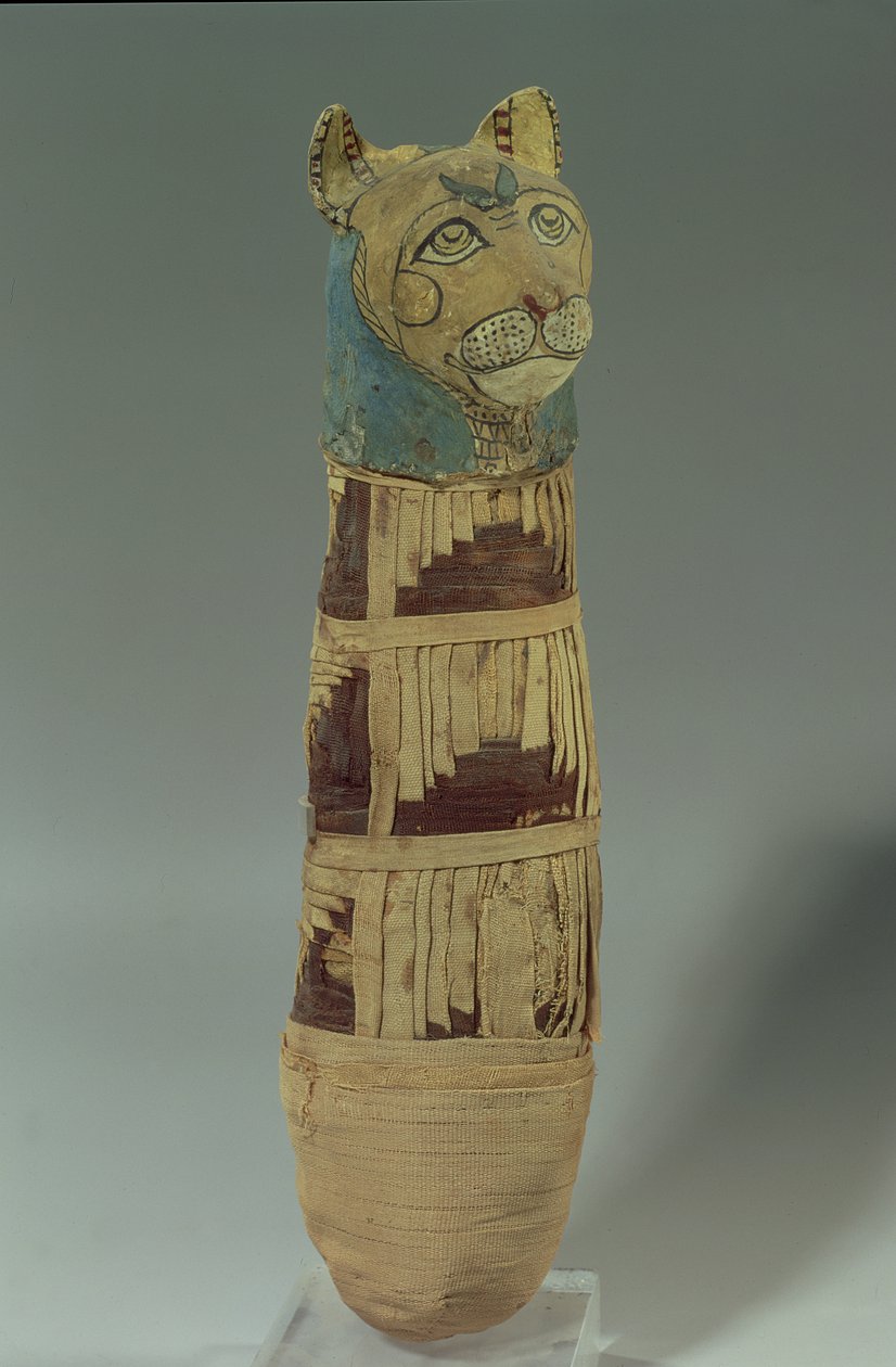 Zmumifikowany kot (stiuk i malowany len) autorstwa Late Period Egyptian