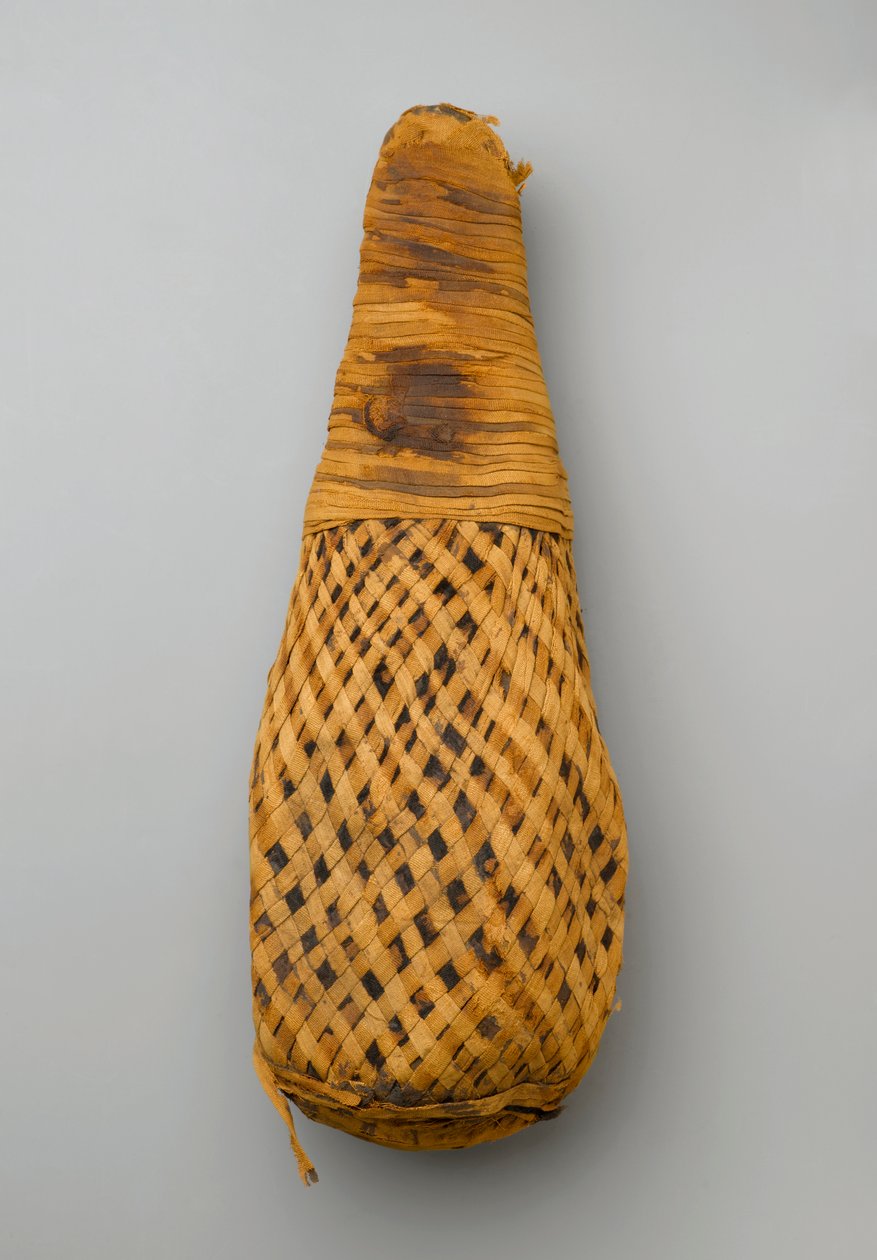 Mumia ibisa, 664-332 pne (szczątki zwierząt i len) autorstwa Late Period Egyptian