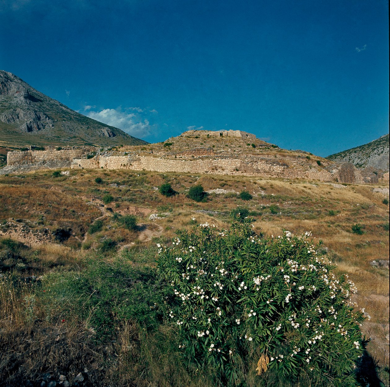Widok miejsca starożytnego miasta Mykenes na Peloponezie (1500-1100 pne) Grecja autorstwa Late Helladic Period Mycenaean