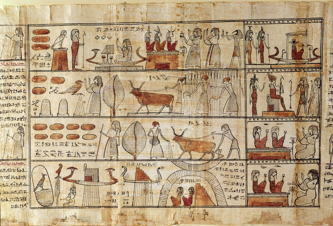 Sceny rolnicze, fragment z Księgi umarłych Cechonsa (papirus) autorstwa Late Period Egyptian