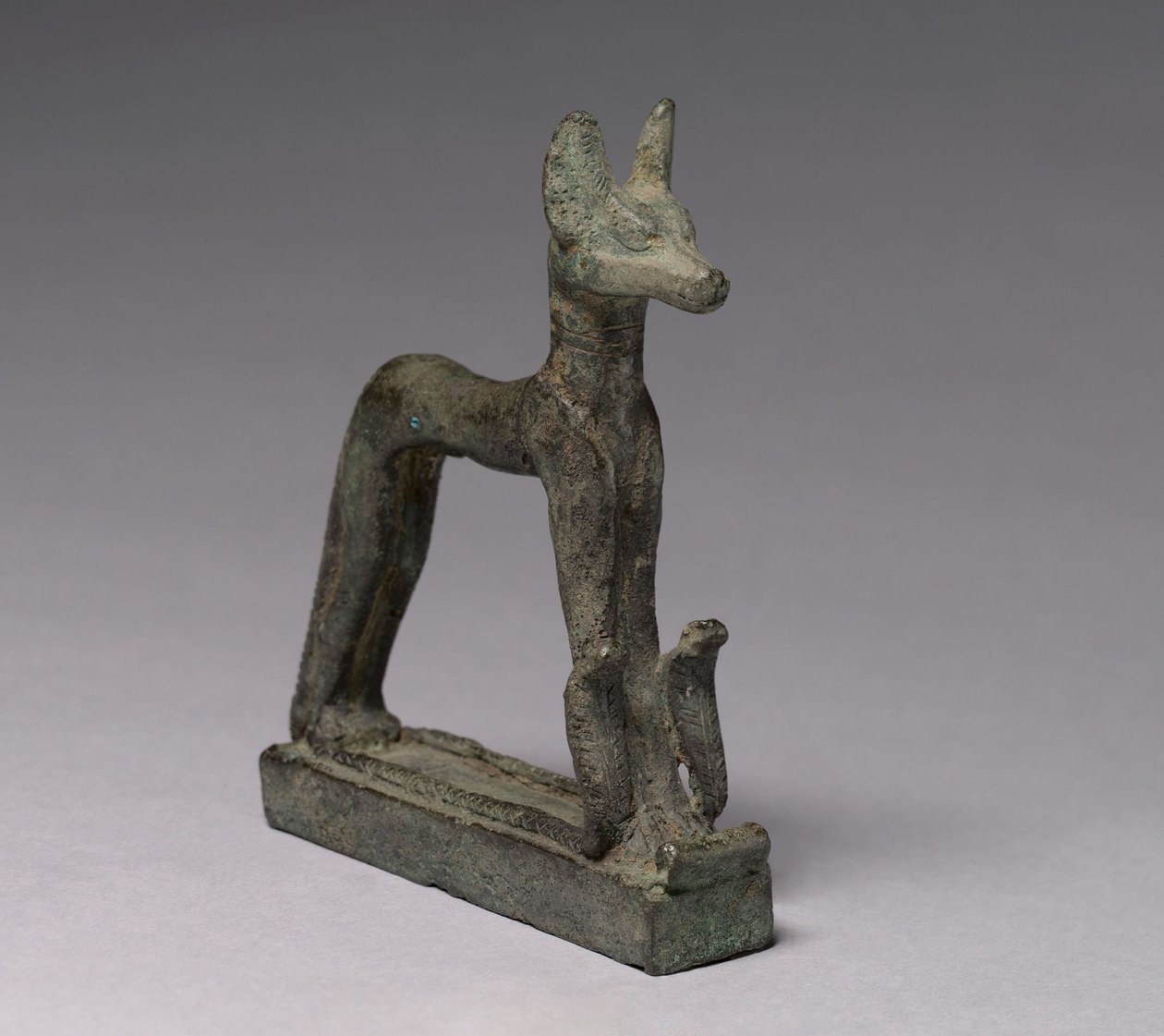 Szakal, 664-30 pne autorstwa Late Period Egyptian