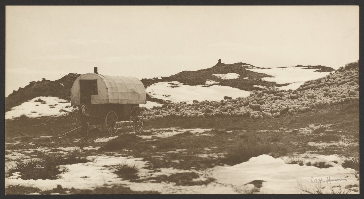 [Drifter, wóz z owcami i zespół na zimowym polu namiotowym]. autorstwa Laton Alton Huffman