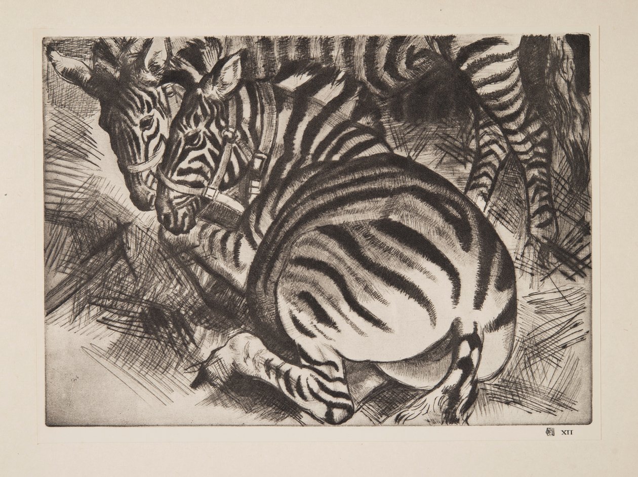 Zebry, wyd. 1930. autorstwa Laura Knight