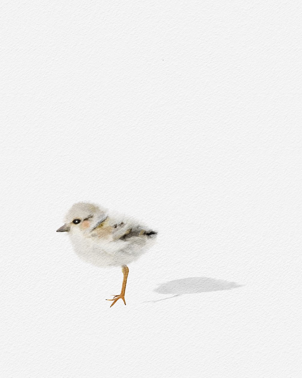 Shorebird, ok. 2021 (media mieszane) autorstwa Leah Straatsma