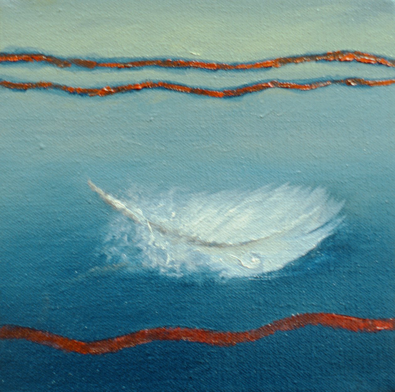 Pływające, 2001 Pióra autorstwa Lee Campbell