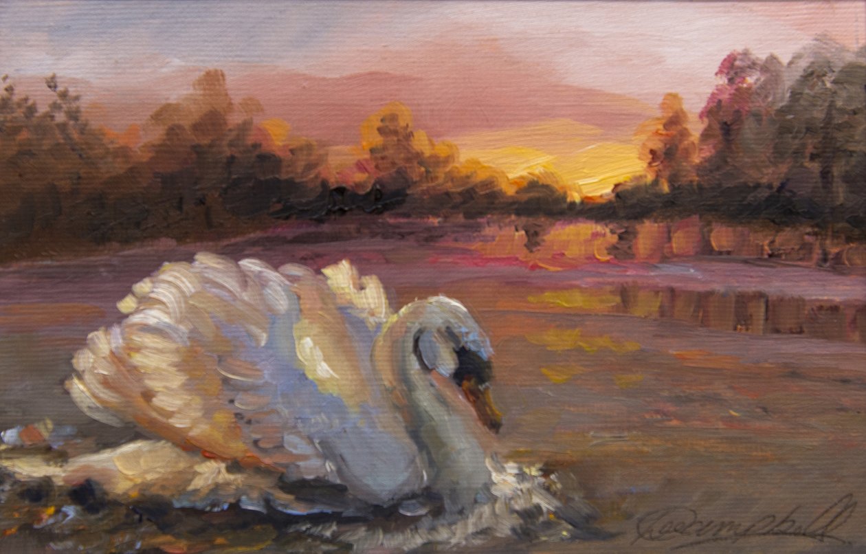 Łabędź o wschodzie słońca, 2016, (olej na papierze) autorstwa Lee Campbell